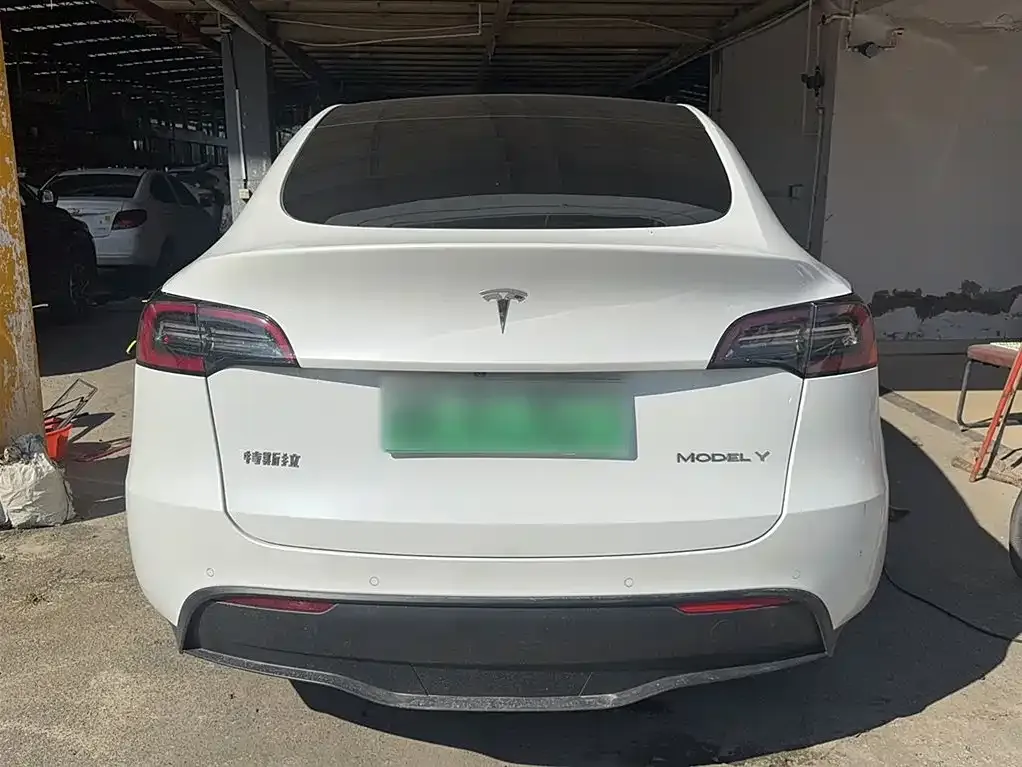 Tesla Model Y 2021 из CN, фото 7