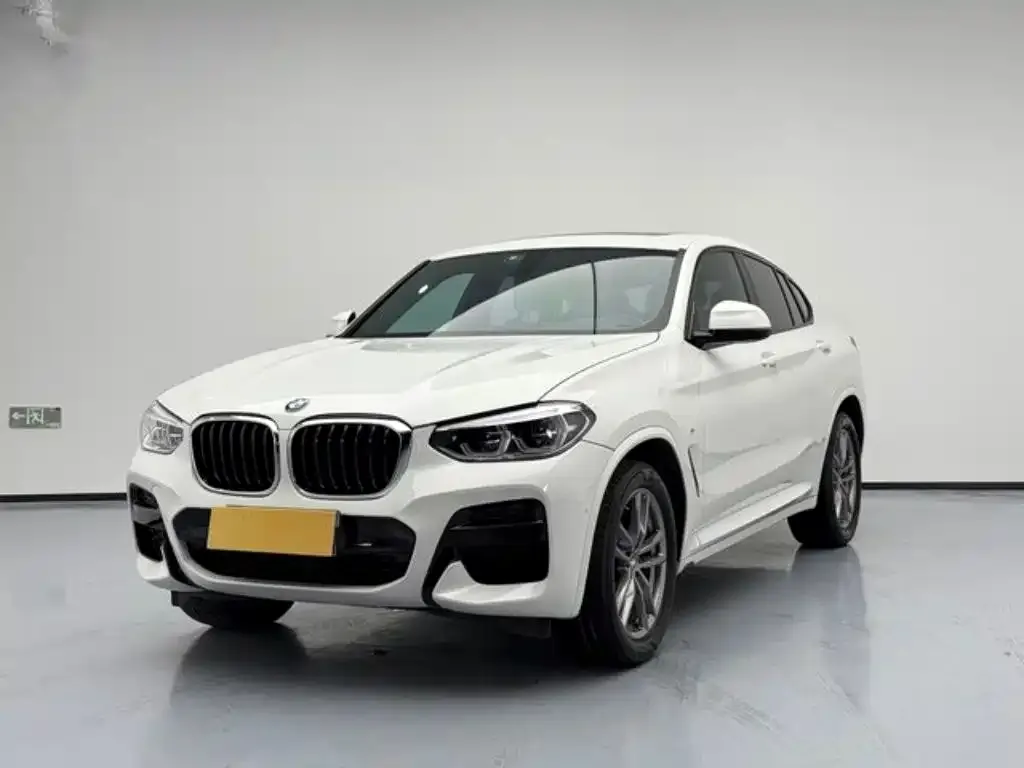 BMW X4 2021 из CN, фото 1