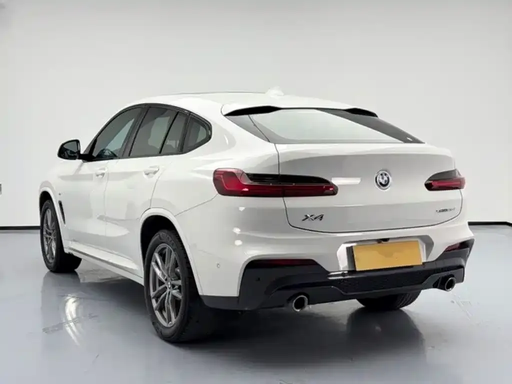 BMW X4 2021 из CN, фото 2