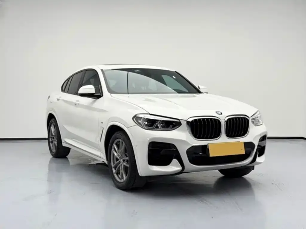 BMW X4 2021 из CN, фото 3