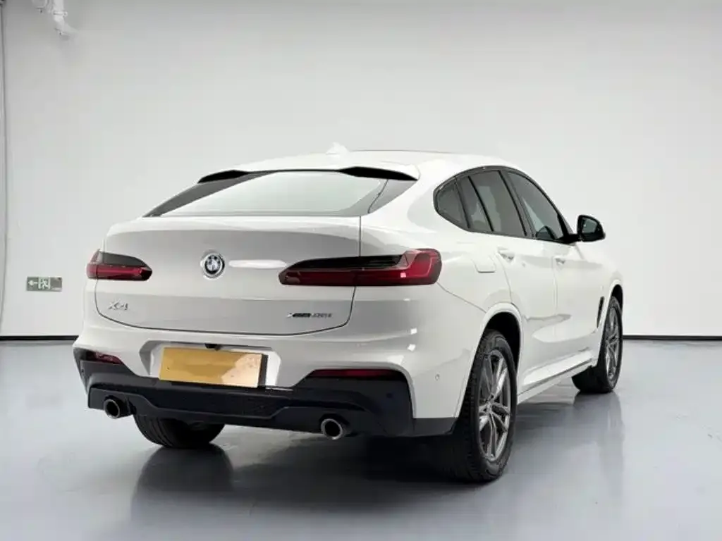 BMW X4 2021 из CN, фото 4