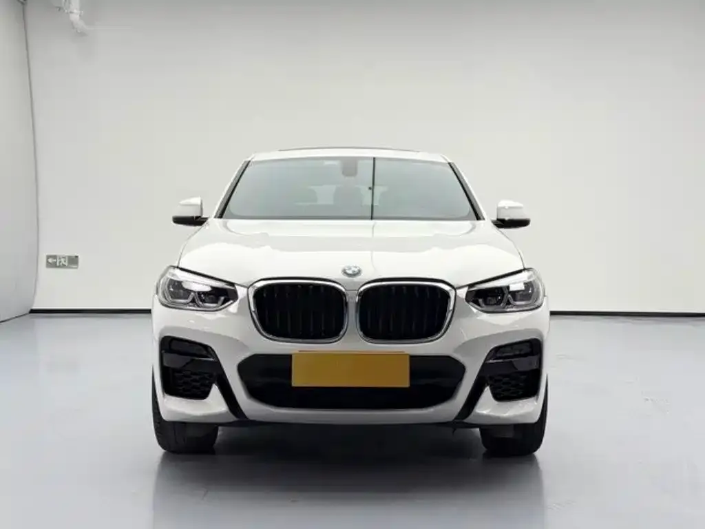 BMW X4 2021 из CN, фото 5