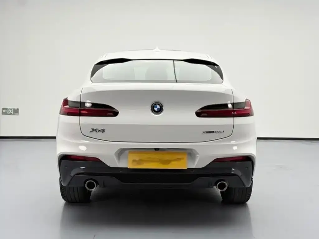 BMW X4 2021 из CN, фото 6