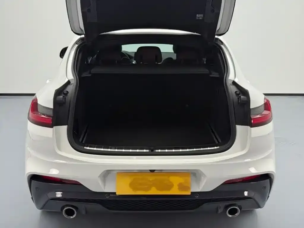 BMW X4 2021 из CN, фото 7