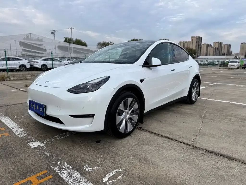 Tesla Model Y — фото 1