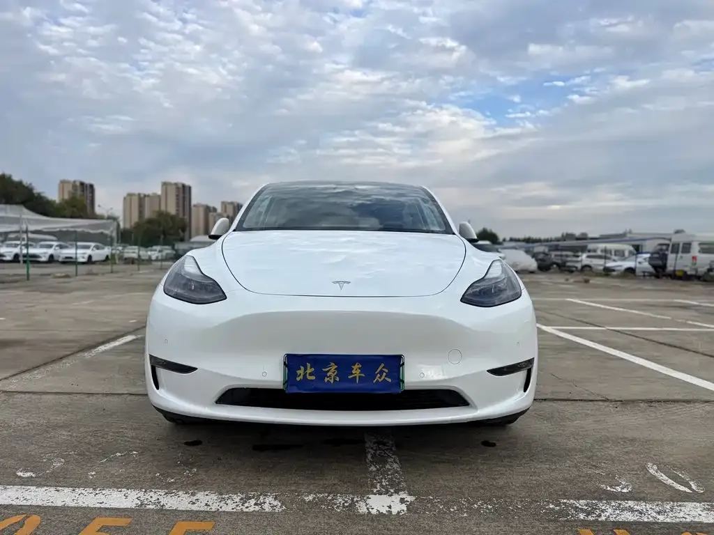 Tesla Model Y — фото 2