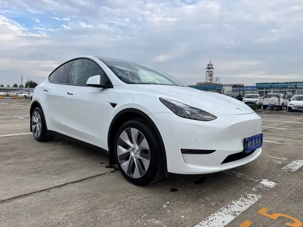 Tesla Model Y — фото 3