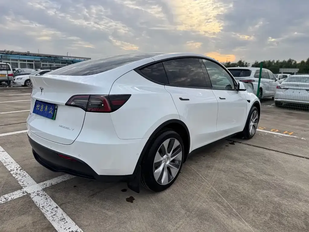 Tesla Model Y — фото 5