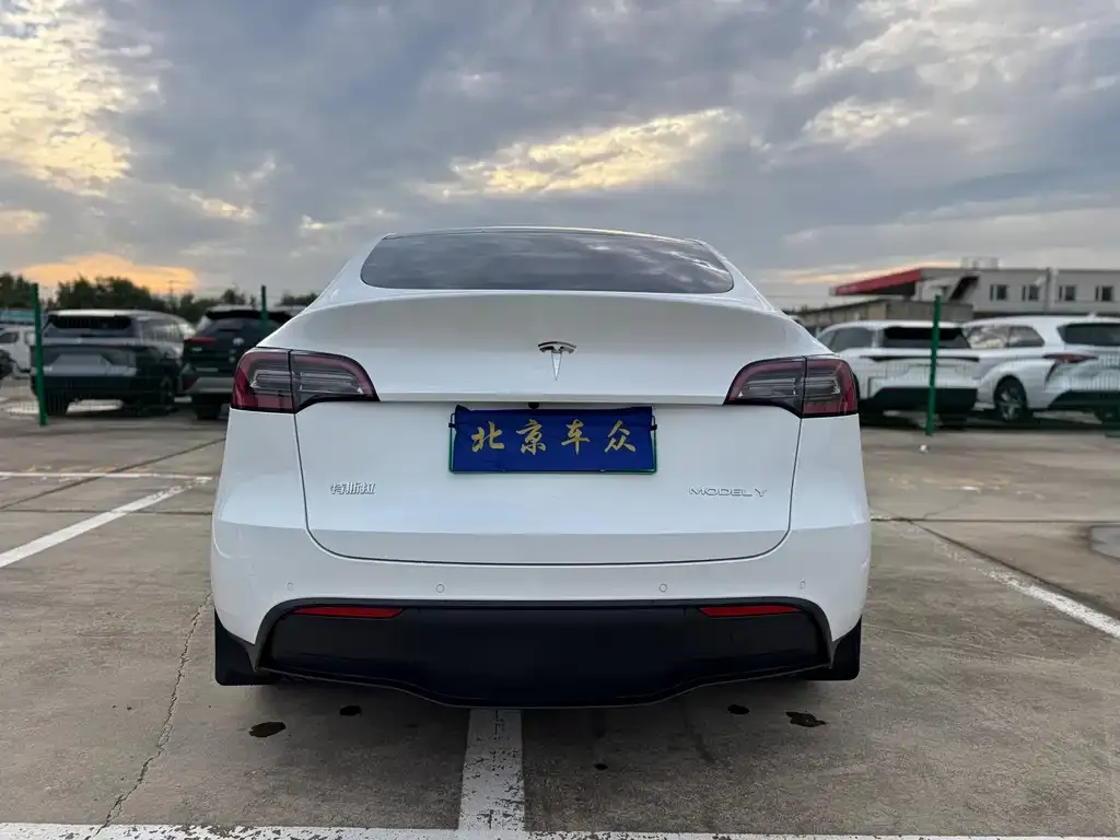 Tesla Model Y — фото 6