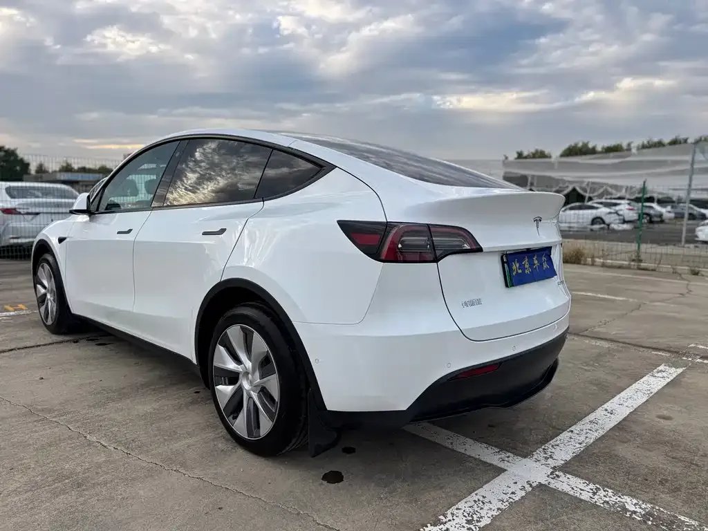 Tesla Model Y — фото 7