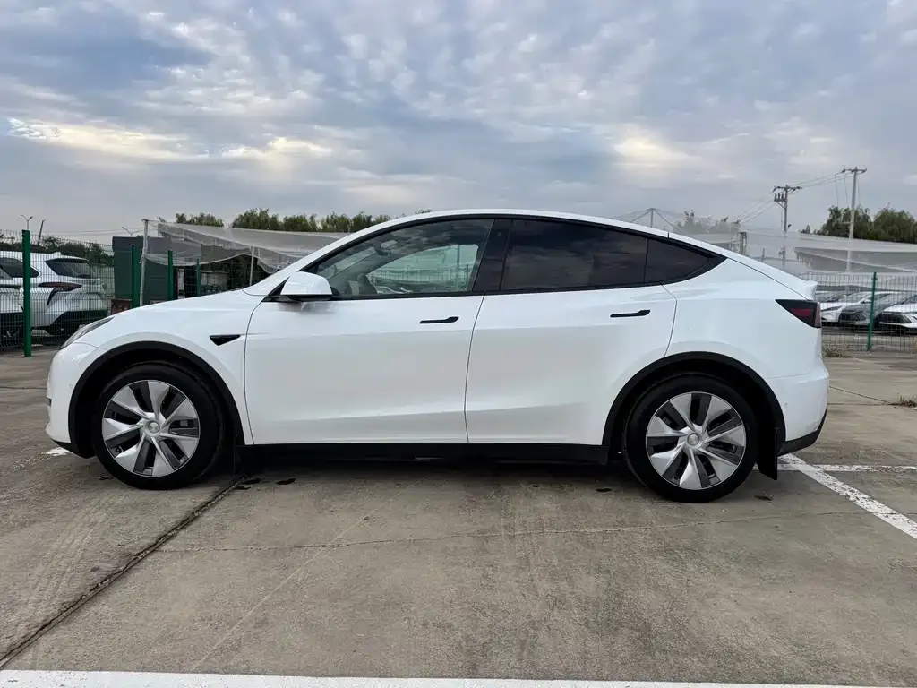 Tesla Model Y — фото 8