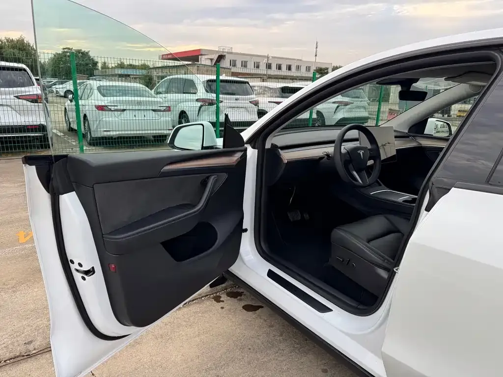 Tesla Model Y — фото 9