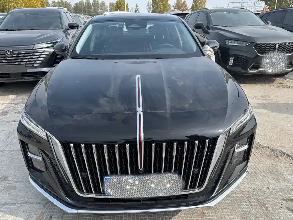 Hongqi H5 2024 из CN, фото 3