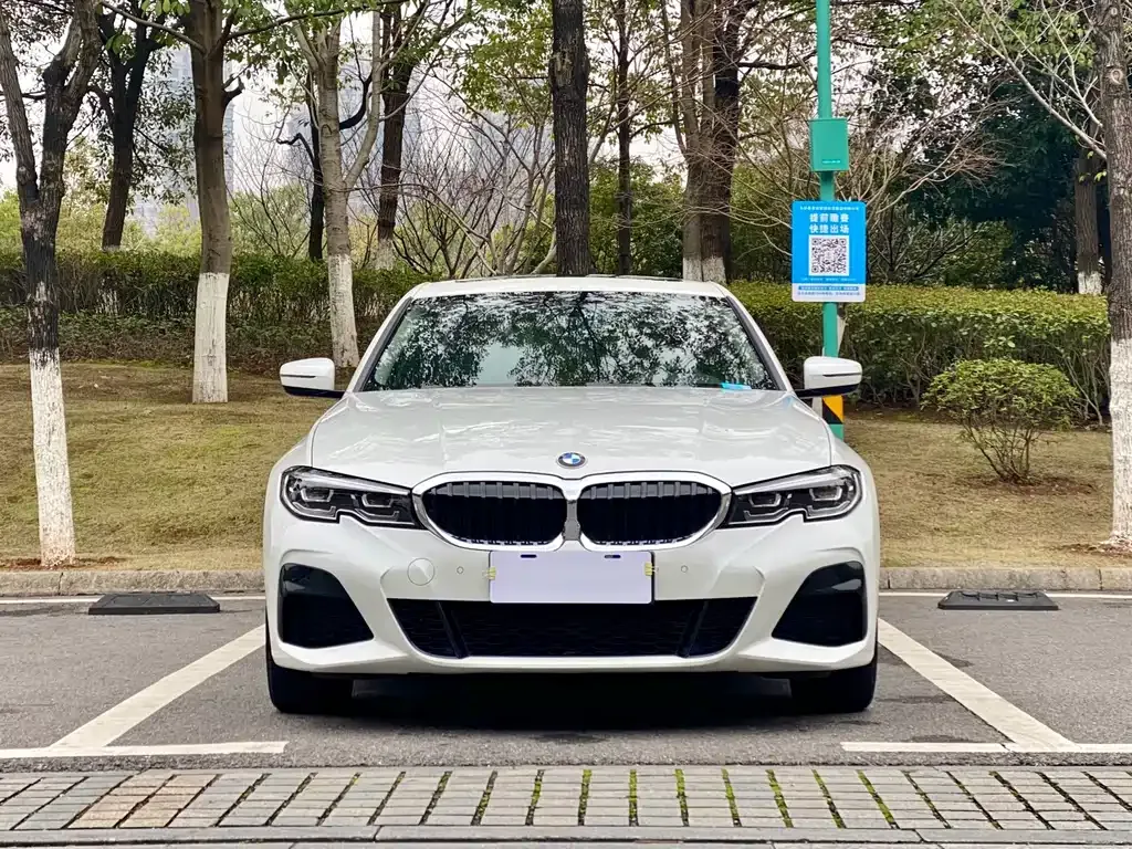 BMW 3 Series 2021 из CN, фото 2