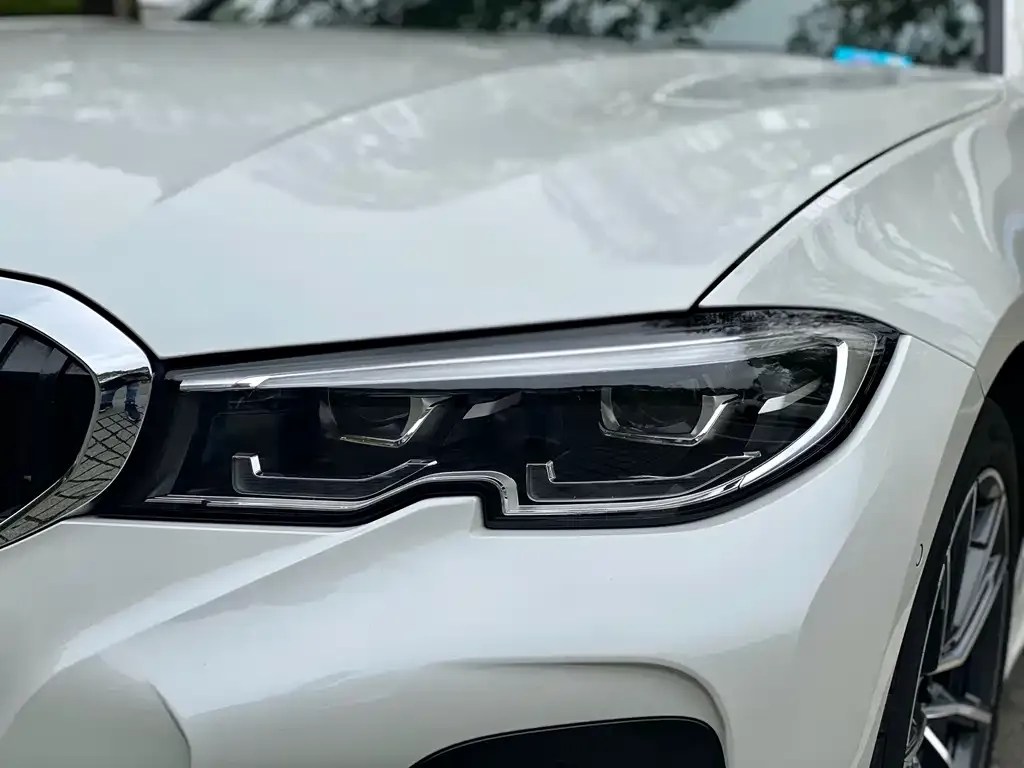 BMW 3 Series 2021 из CN, фото 8