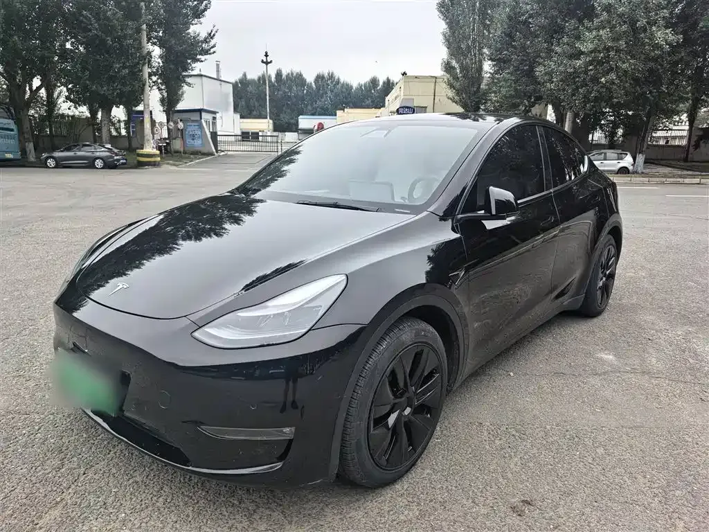 Tesla Model Y — фото 2