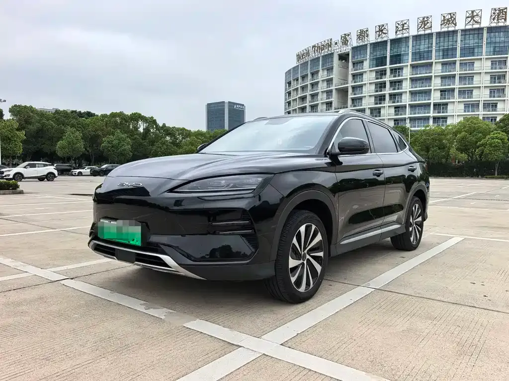 BYD PLUS New Energy — фото 1