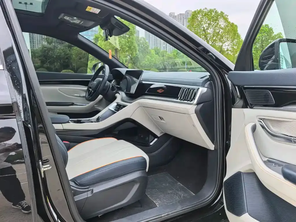 BYD PLUS New Energy — фото 10