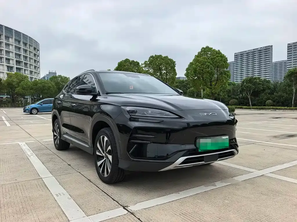 BYD PLUS New Energy — фото 2