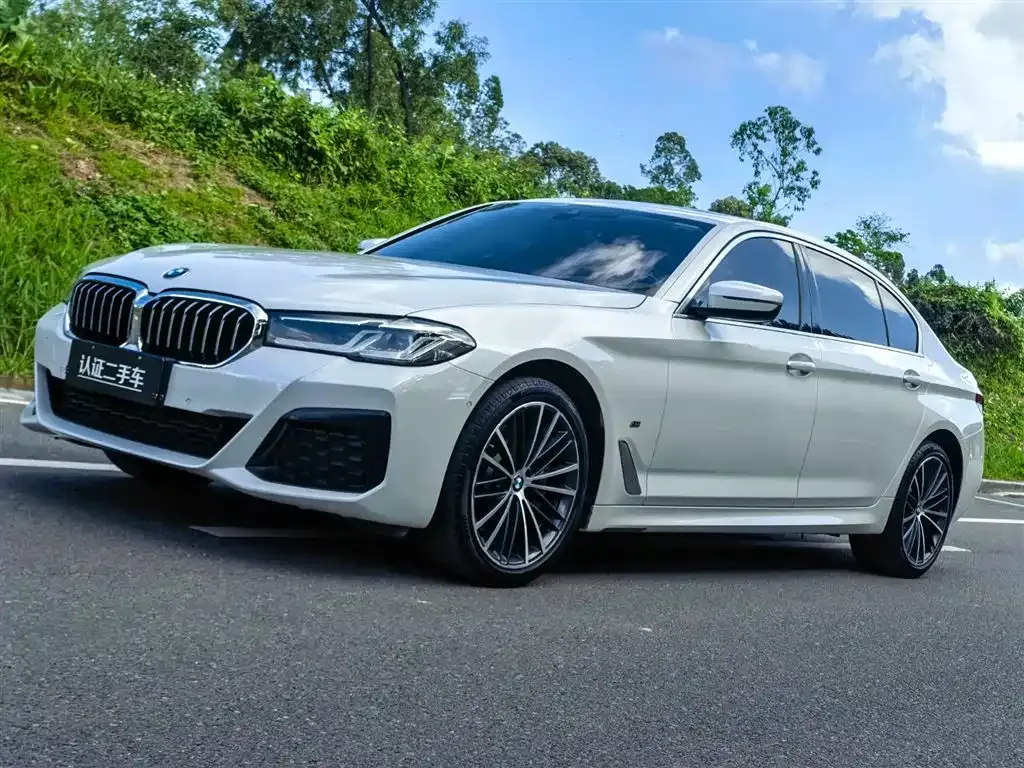 BMW 5 Series 2022 из CN, фото 1