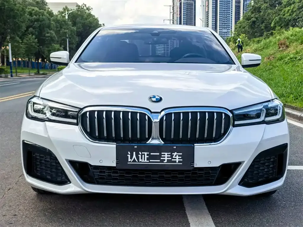 BMW 5 Series 2022 из CN, фото 2