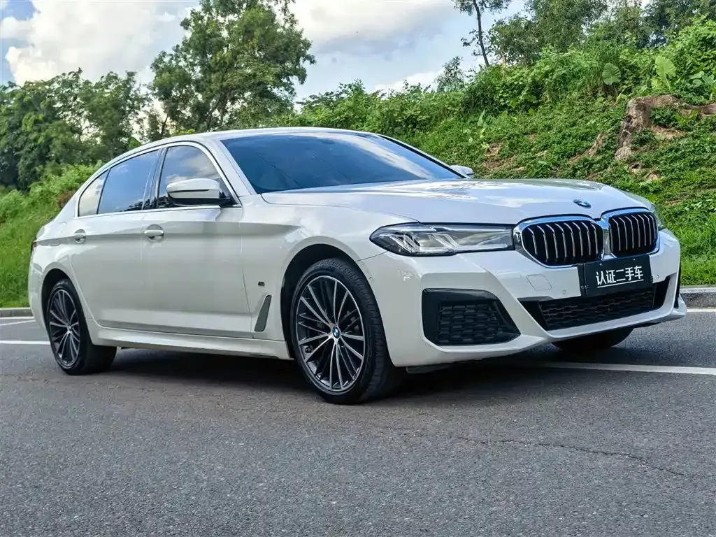 BMW 5 Series 2022 из CN, фото 3