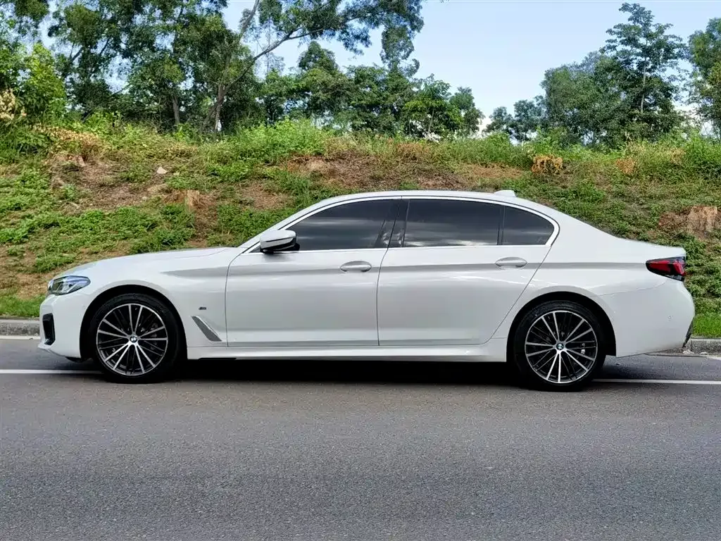 BMW 5 Series 2022 из CN, фото 4