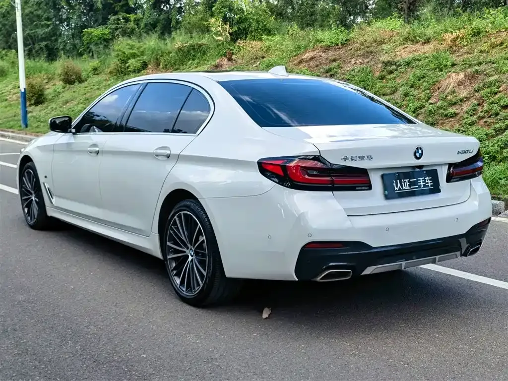 BMW 5 Series 2022 из CN, фото 5
