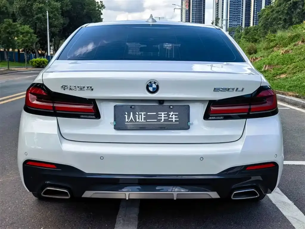 BMW 5 Series 2022 из CN, фото 6