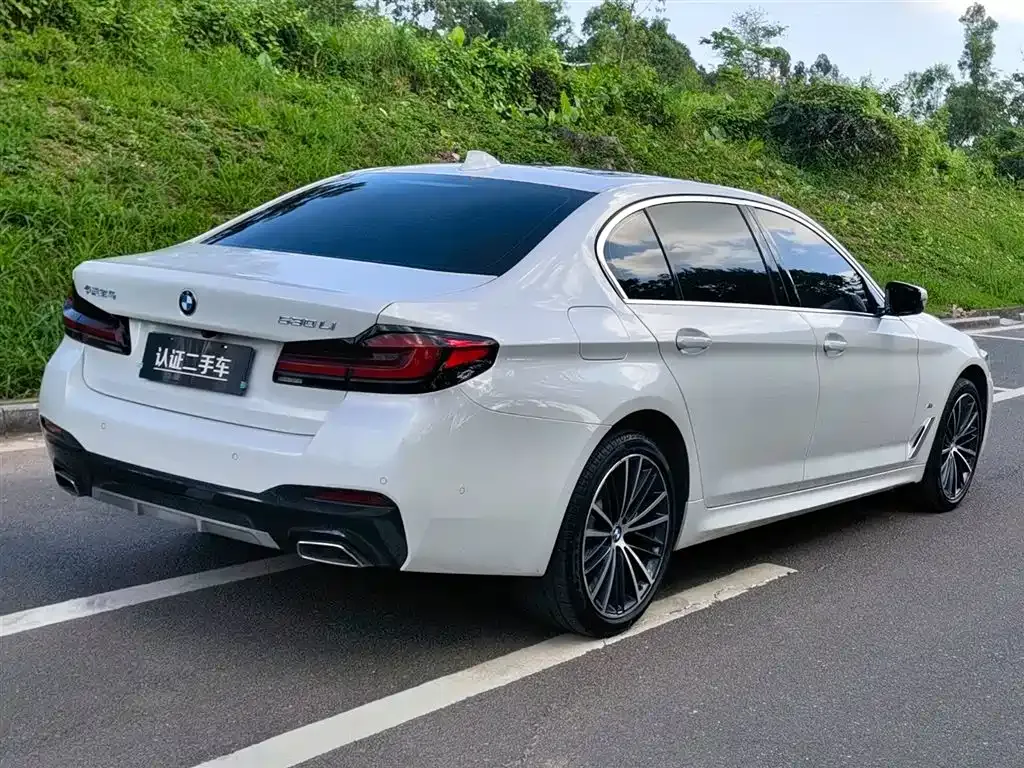 BMW 5 Series 2022 из CN, фото 7