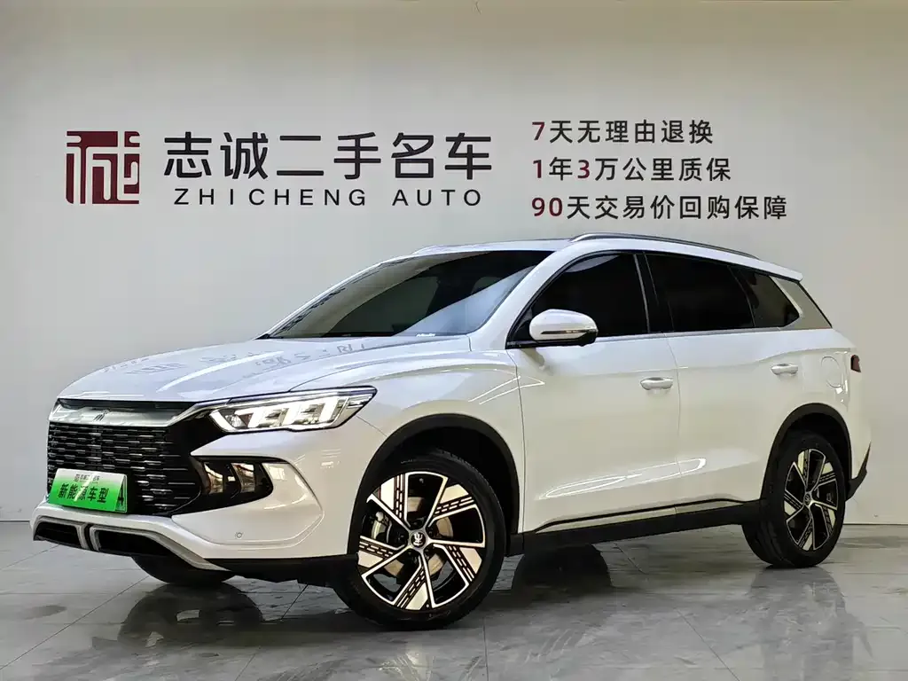BYD Pro New Energy 2024 из CN, фото 1
