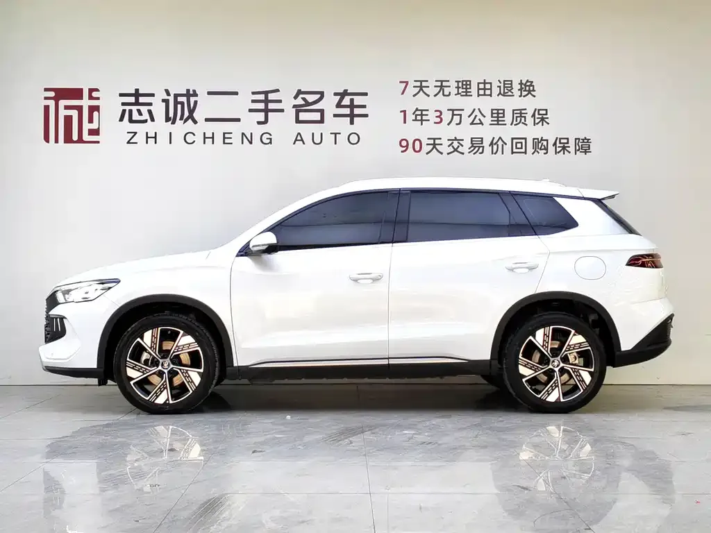 BYD Pro New Energy 2024 из CN, фото 3