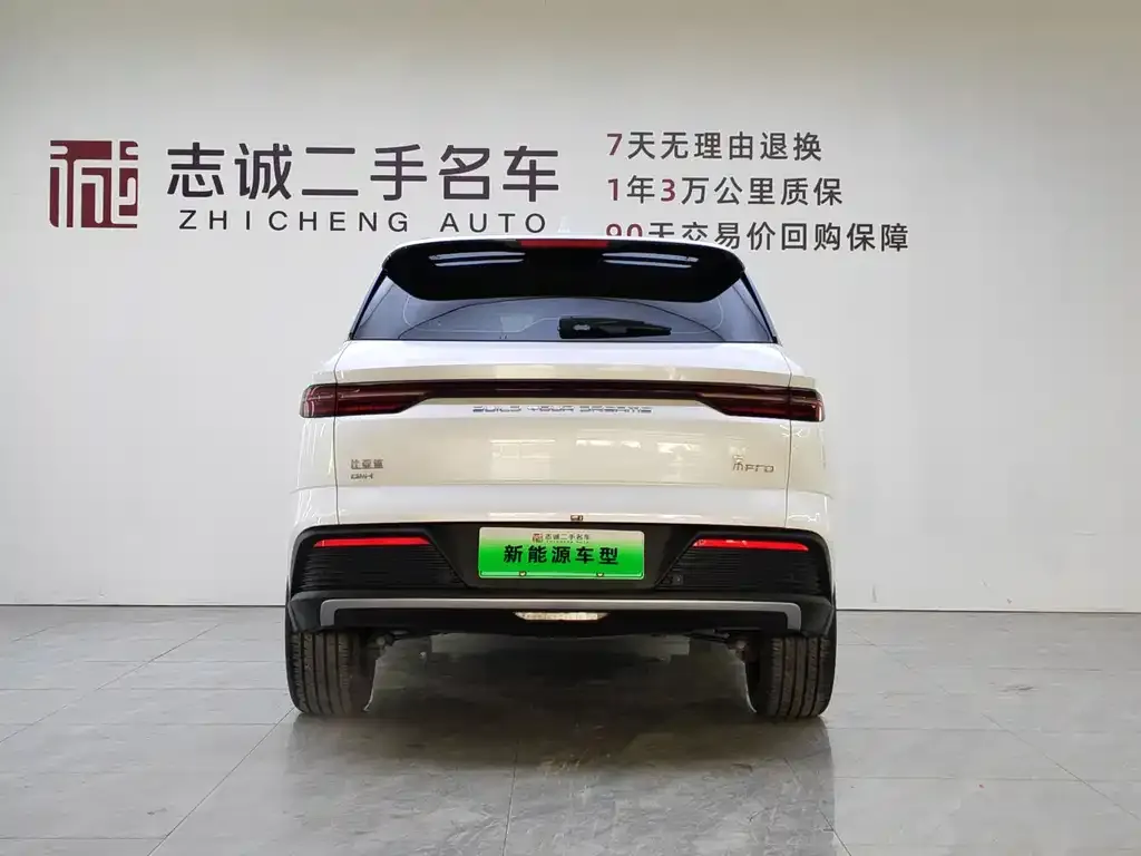 BYD Pro New Energy 2024 из CN, фото 4