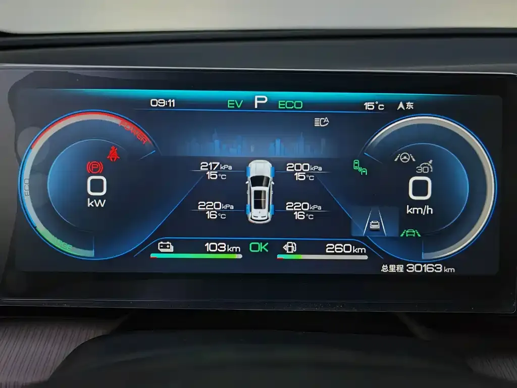 BYD Pro New Energy 2024 из CN, фото 7