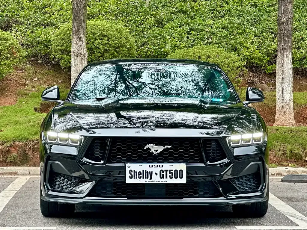Ford Mustang 2024 из CN, фото 2