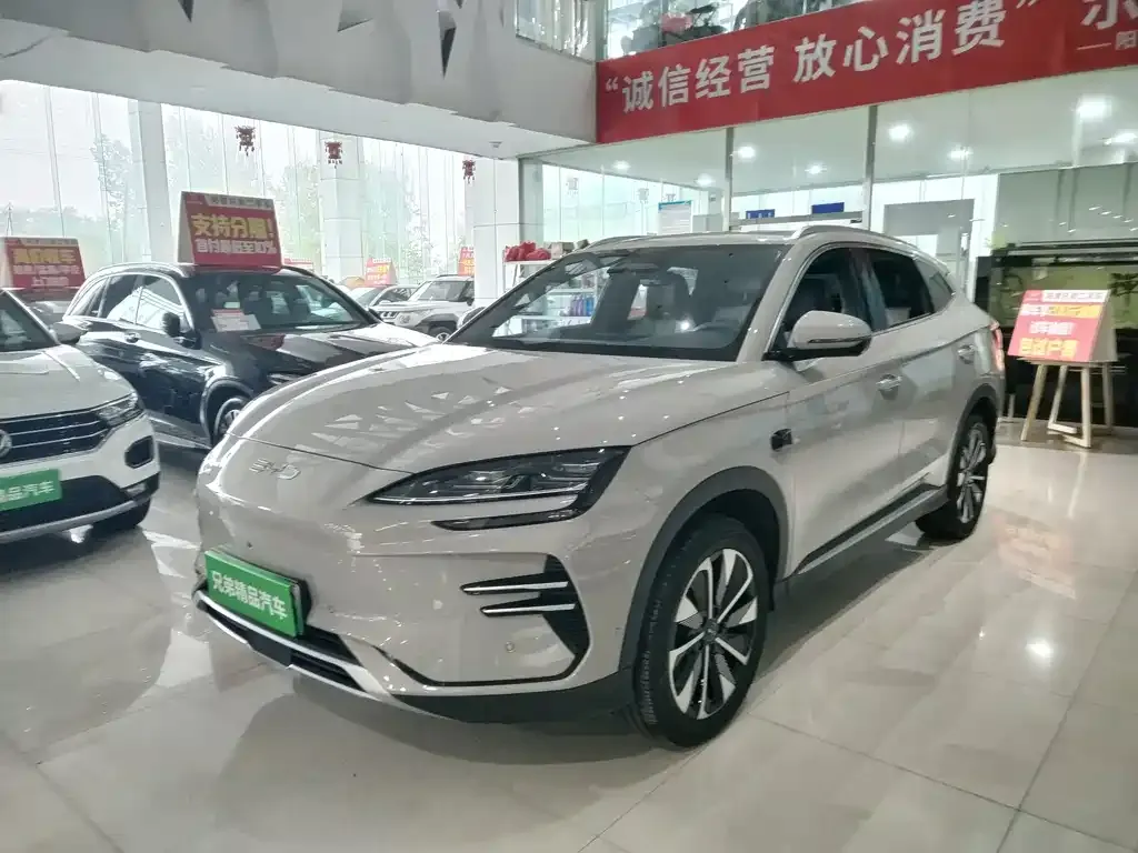 BYD PLUS New Energy 2025 из CN, фото 2