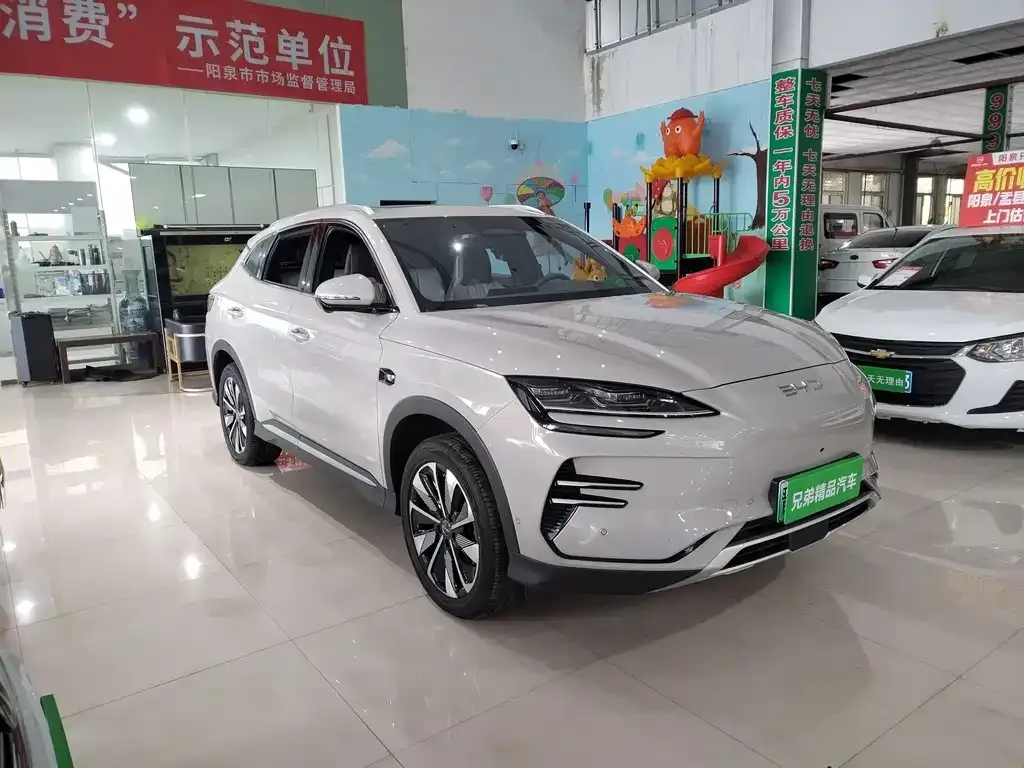 BYD PLUS New Energy 2025 из CN, фото 3