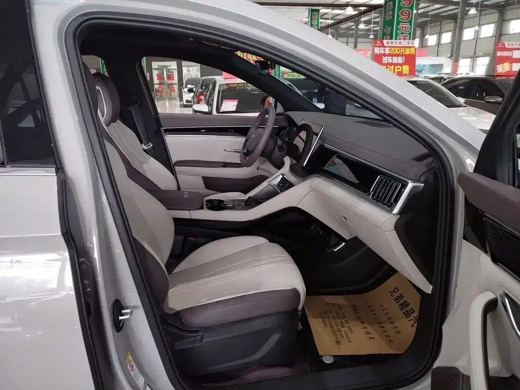 BYD PLUS New Energy 2025 из CN, фото 4