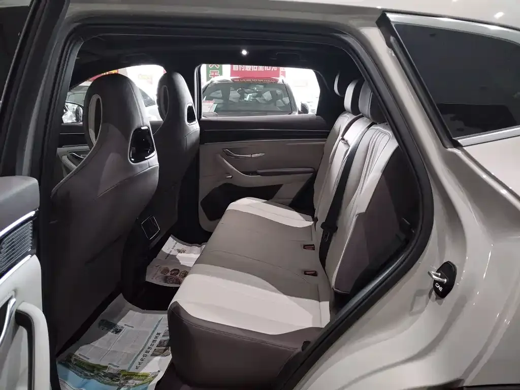 BYD PLUS New Energy 2025 из CN, фото 6
