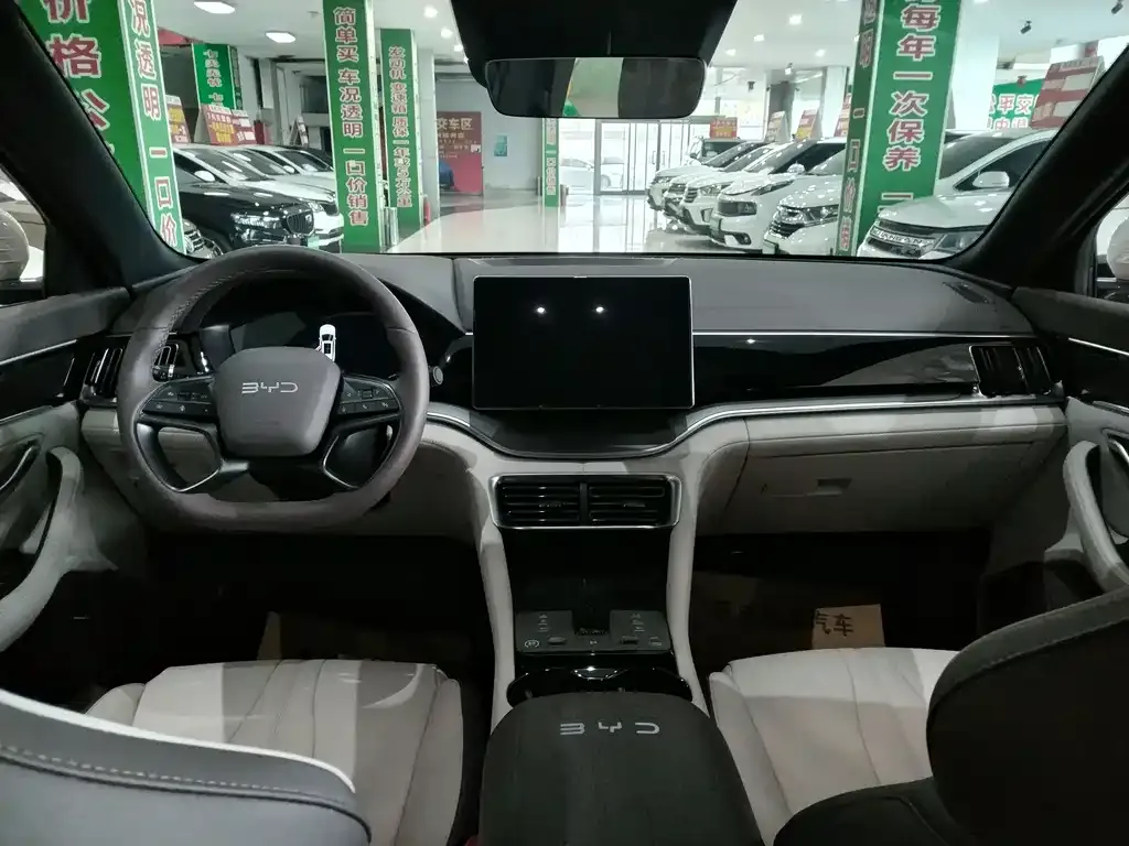 BYD PLUS New Energy 2025 из CN, фото 7