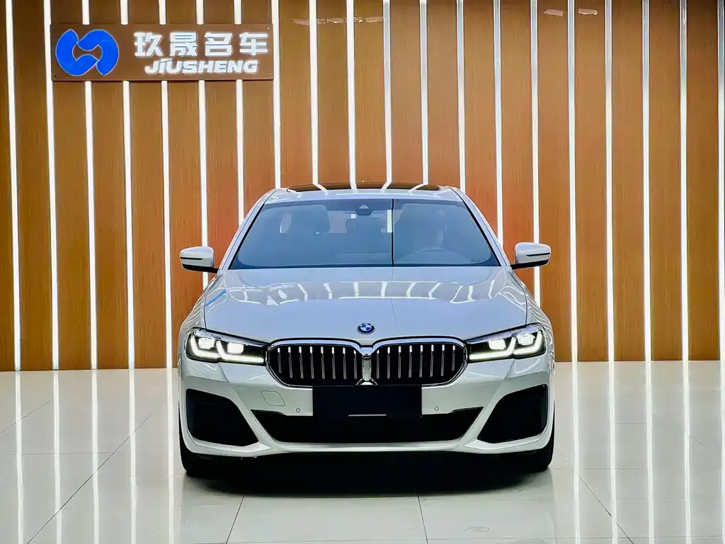 BMW 5 Series New Energy — фото 2