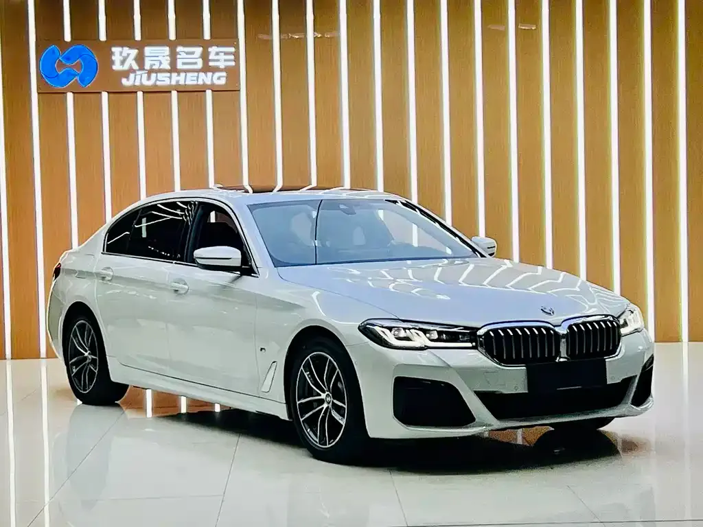 BMW 5 Series New Energy — фото 3