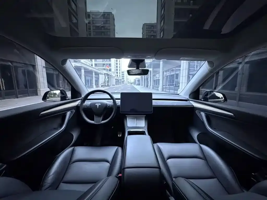 Tesla Model Y — фото 10