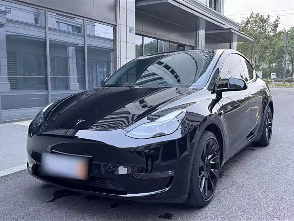 Tesla Model Y — фото 2