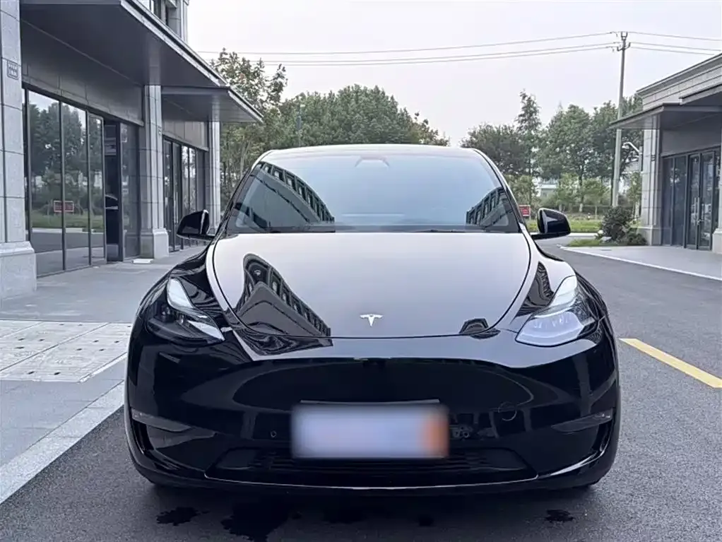 Tesla Model Y — фото 3