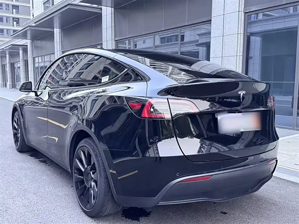 Tesla Model Y — фото 6