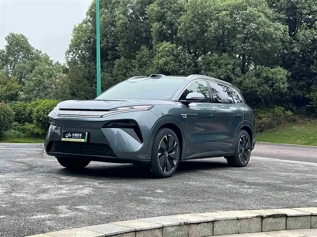 BYD Tang L 2025 из CN, фото 1