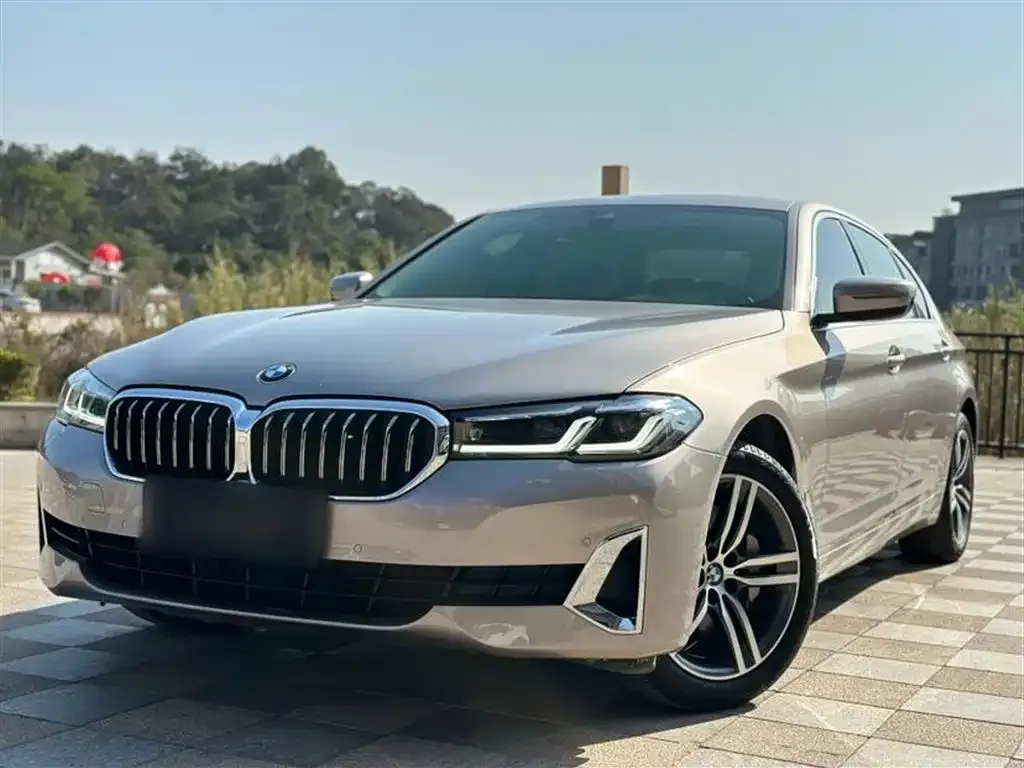 BMW 5 Series 2021 из CN, фото 1
