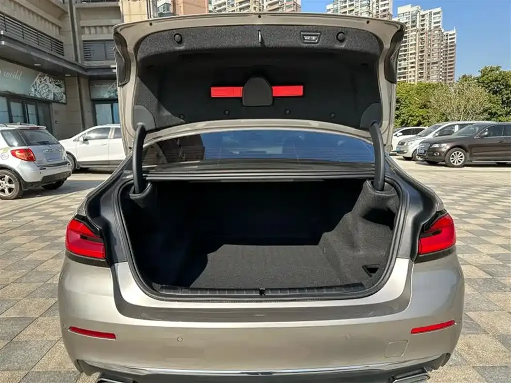 BMW 5 Series 2021 из CN, фото 10