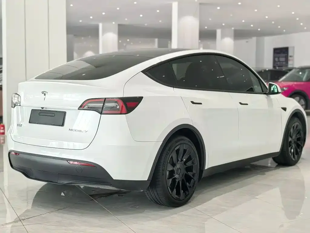 Tesla Model Y 2022 из CN, фото 4